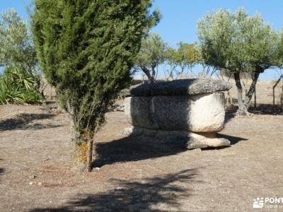 Yacimiento Romano de Ercávica -Monasterio Monsalud;viajes carnaval hayedo de la pedrosa rutas viajes